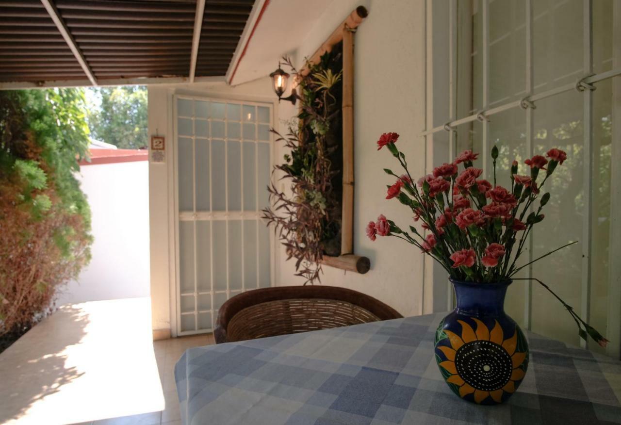 Suites La Flor Sagrada Xochitepec Exterior photo